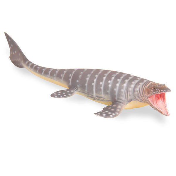 Mosasaurus collecta best sale